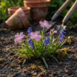 5 vergeten Nederlandse wilde planten die je tuin kunnen transformeren